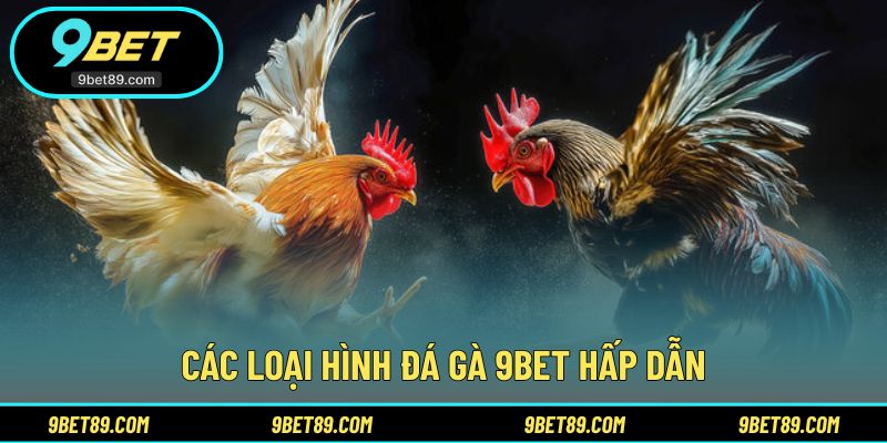 Danh sách các loại hình đá gà 9BET phổ biến 