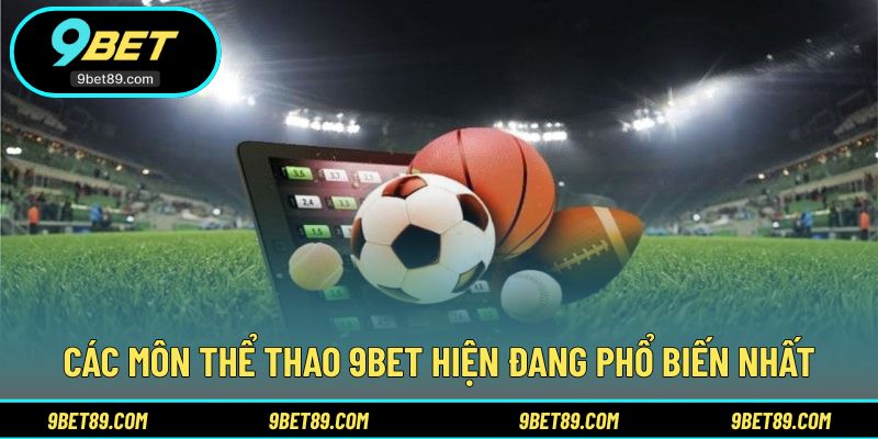 Danh sách môn thi đấu được nhiều người quan tâm hiện nay