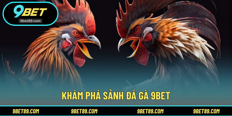 Giới thiệu tổng quan sảnh thi đấu trực tuyến chuyên biệt